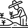 کارتن پلاست در کشاورزی