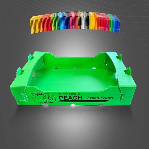 جعبه میوه و سبزی کارتن پلاست با انواع رنگ بندی